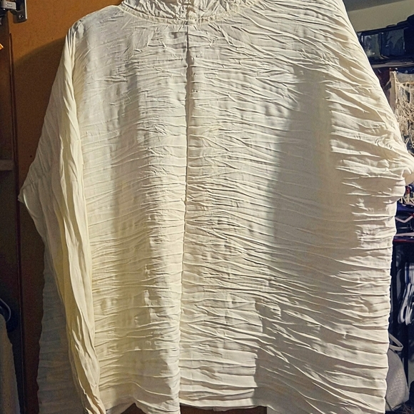 Chic Cream Ruffled Blouse - Picture 7 of 7